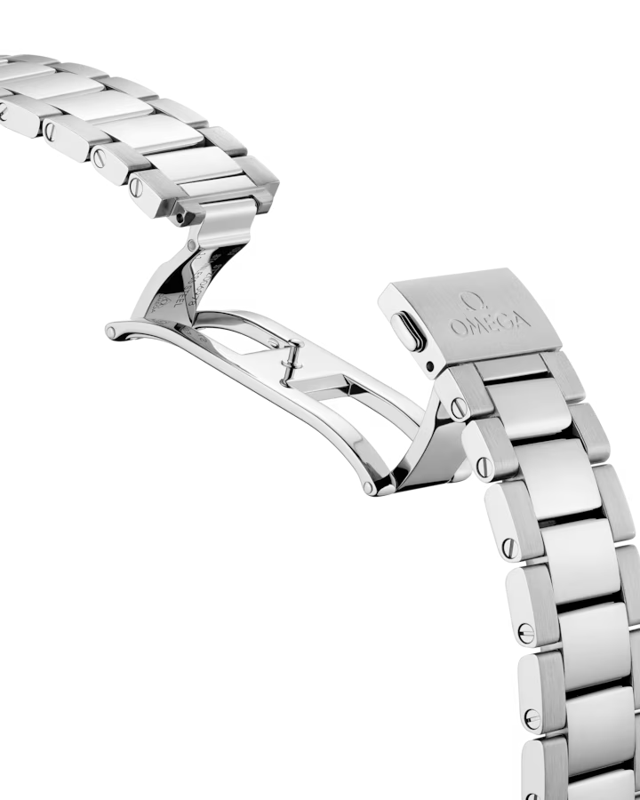 Omega Seamaster Aqua Terra 150M 220.10.38.20.01.001