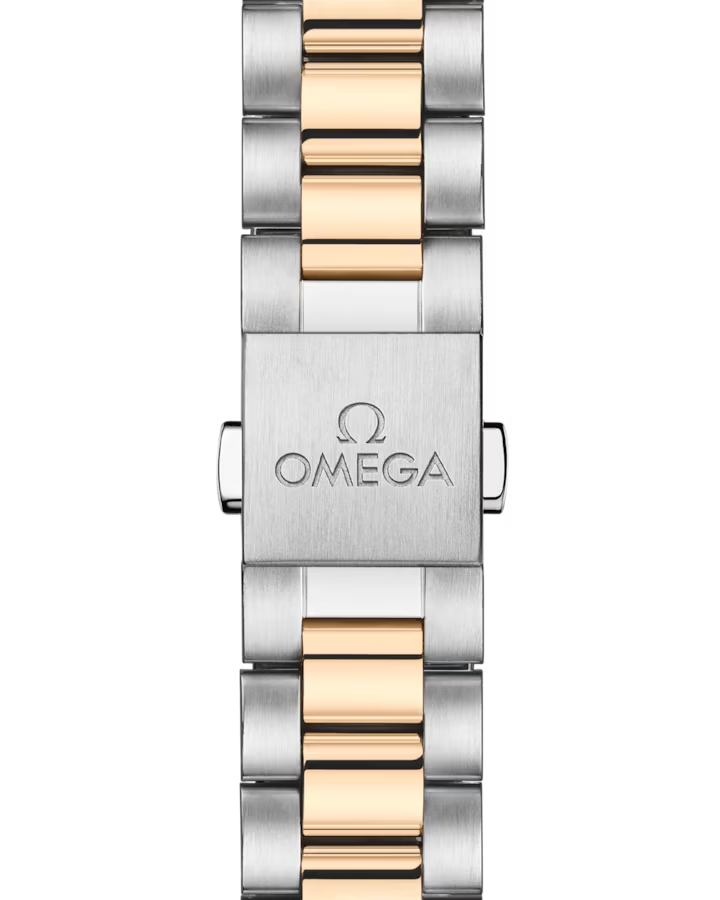 Omega Seamaster Aqua Terra 150M 220.20.30.20.02.001