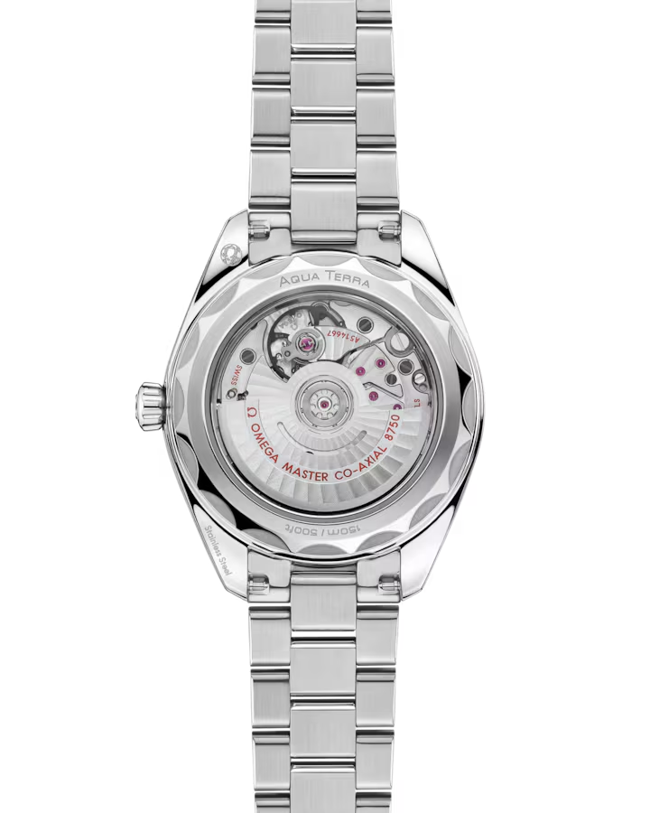 Omega Seamaster Aqua Terra 150M 220.10.30.20.03.001