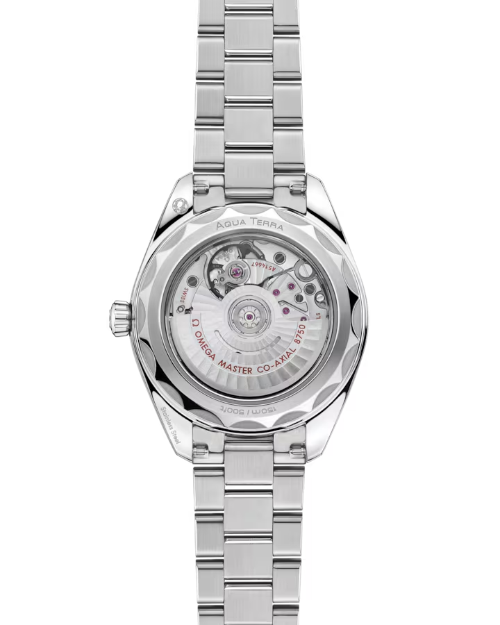 Omega Seamaster Aqua Terra 150M 220.10.30.20.55.001