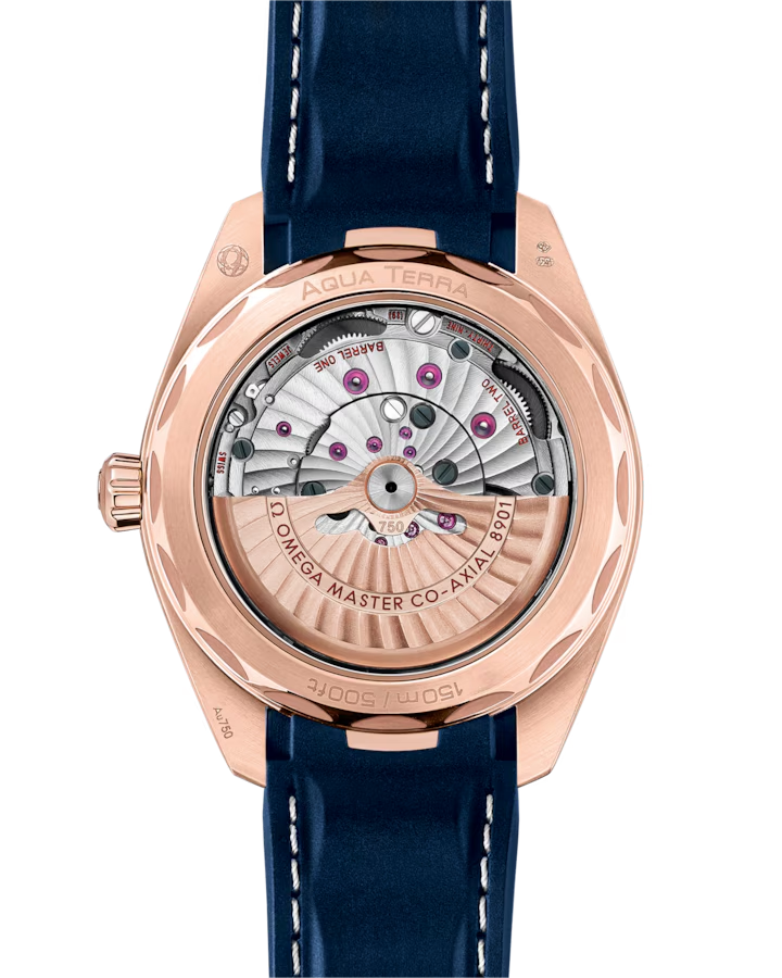Omega Seamaster Aqua Terra 150M 220.52.41.21.03.001
