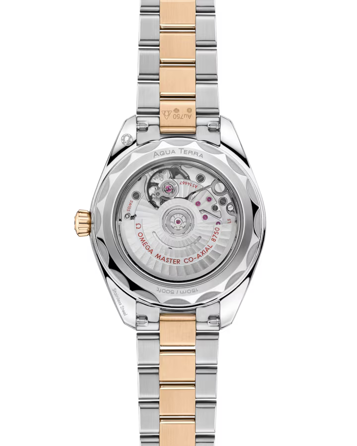 Omega Seamaster Aqua Terra 150M 220.25.30.20.55.001