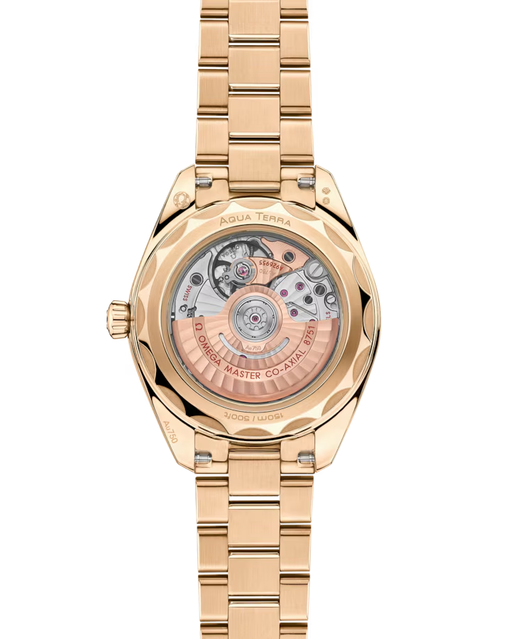 Omega Seamaster Aqua Terra 150M 220.55.30.20.55.001
