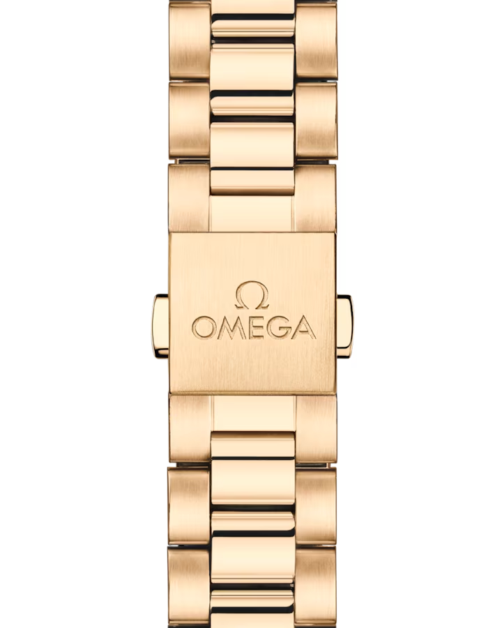 Omega Seamaster Aqua Terra 150M 220.55.30.20.55.001