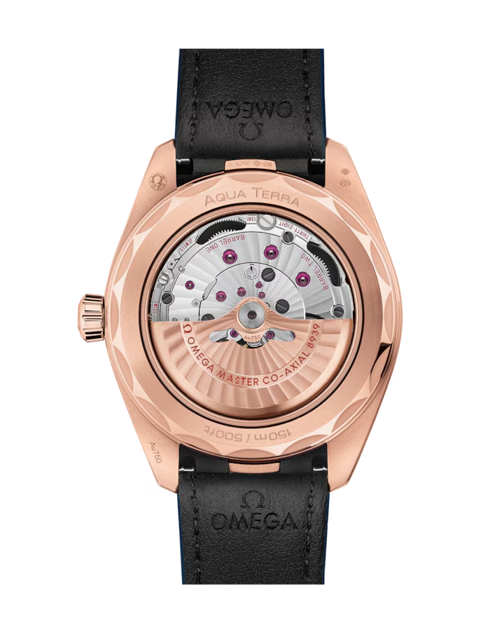 Omega Seamaster Aqua Terra 150M Worldtimer 220.53.43.22.02.001