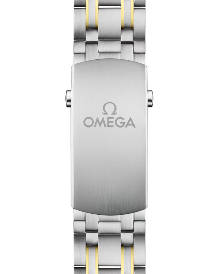 Omega Seamaster Diver 300M 210.20.42.20.01.002