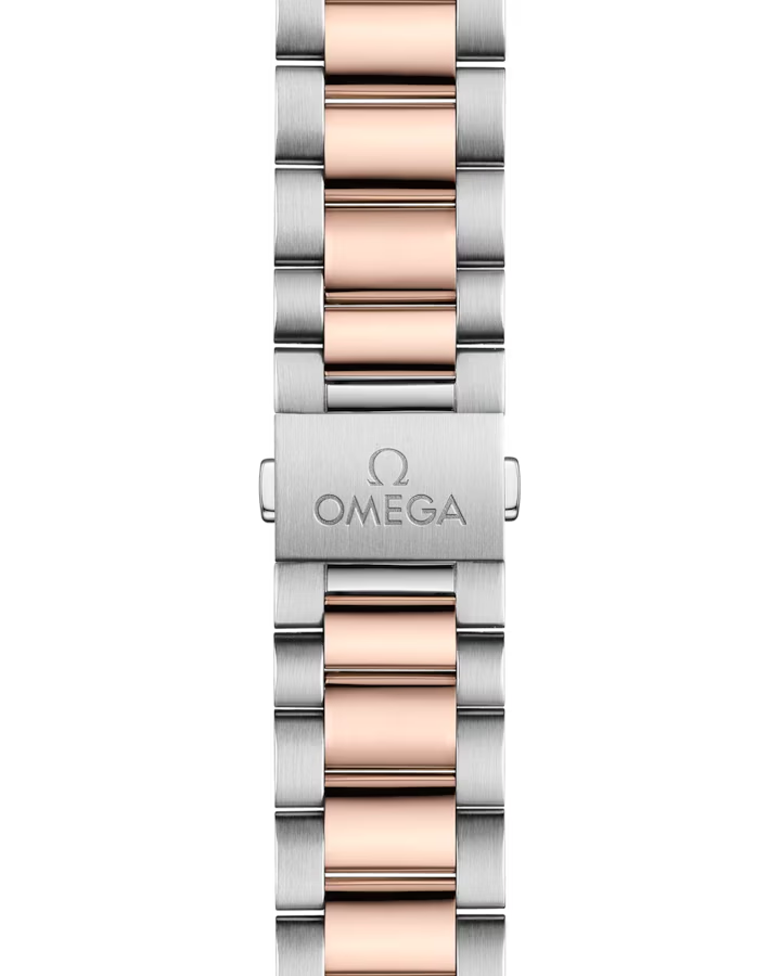 Omega Seamaster Aqua Terra 150M 220.20.41.21.02.001